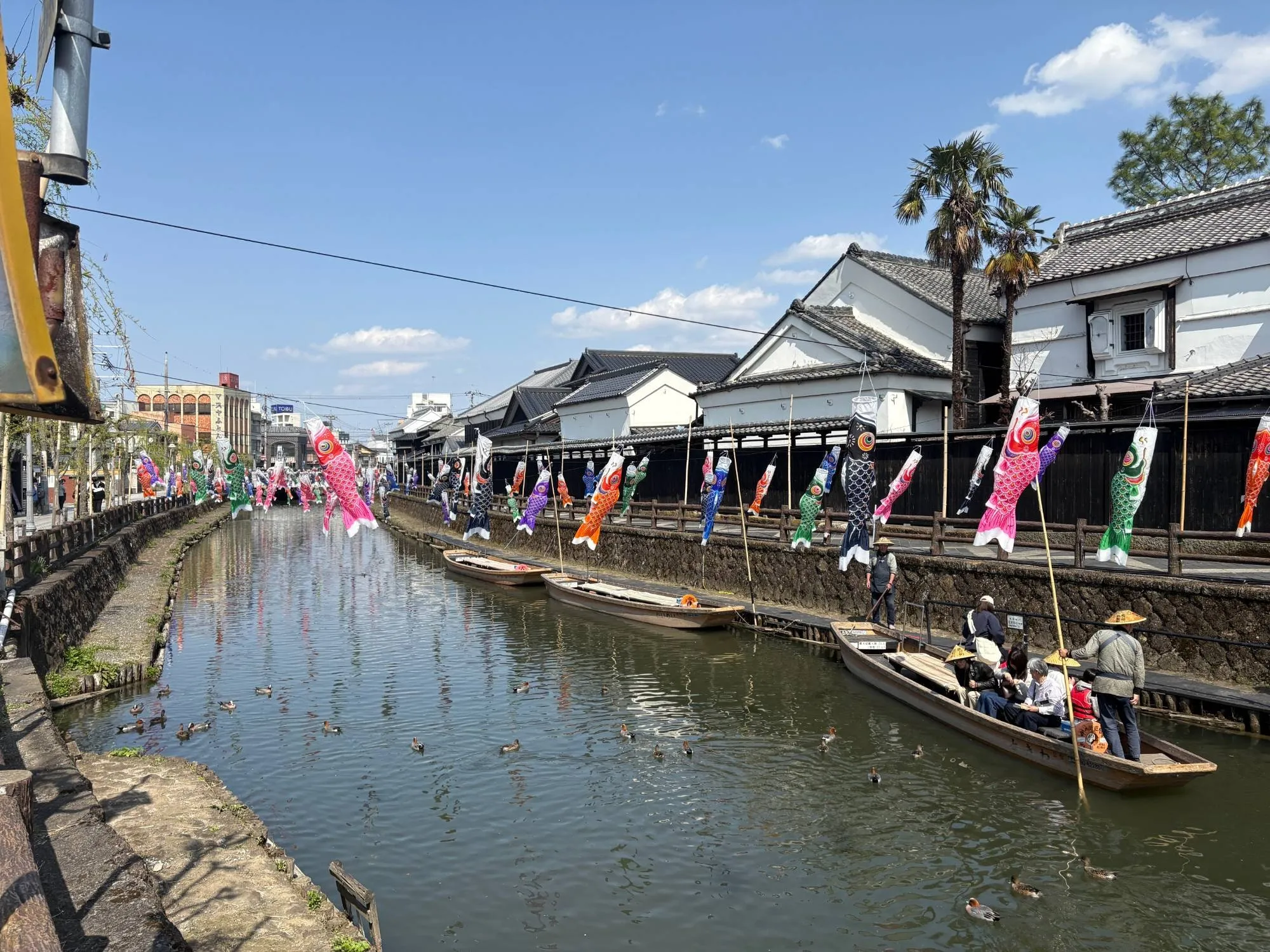 春の巴波川。こいのぼりが泳ぐ川を、船頭の竿で遊覧船が進み、川沿いに白壁の蔵と黒塀が続く。